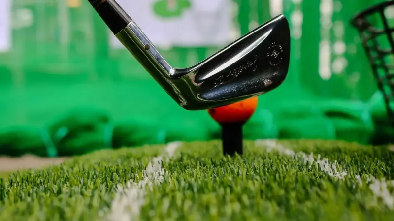 Golf Driving Range, photo 15 of 18