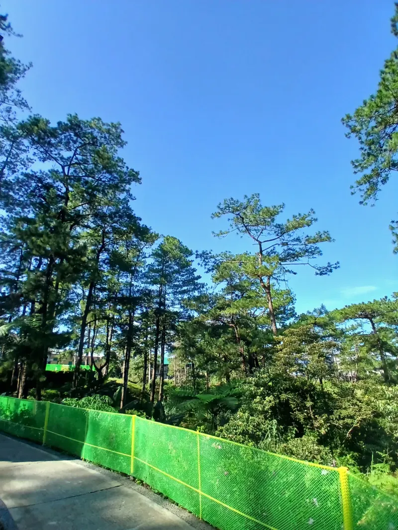 烧烤露营区，第 13 张，共 53 张