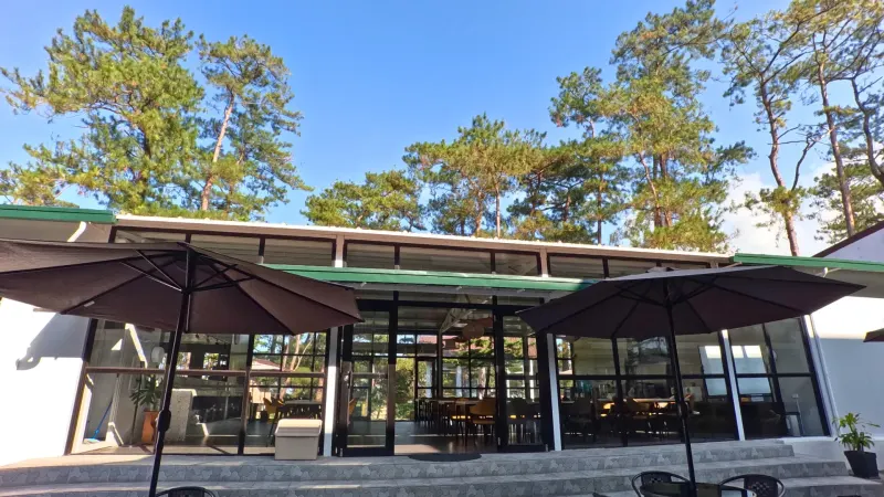 餐厅，第 24 张，共 29 张